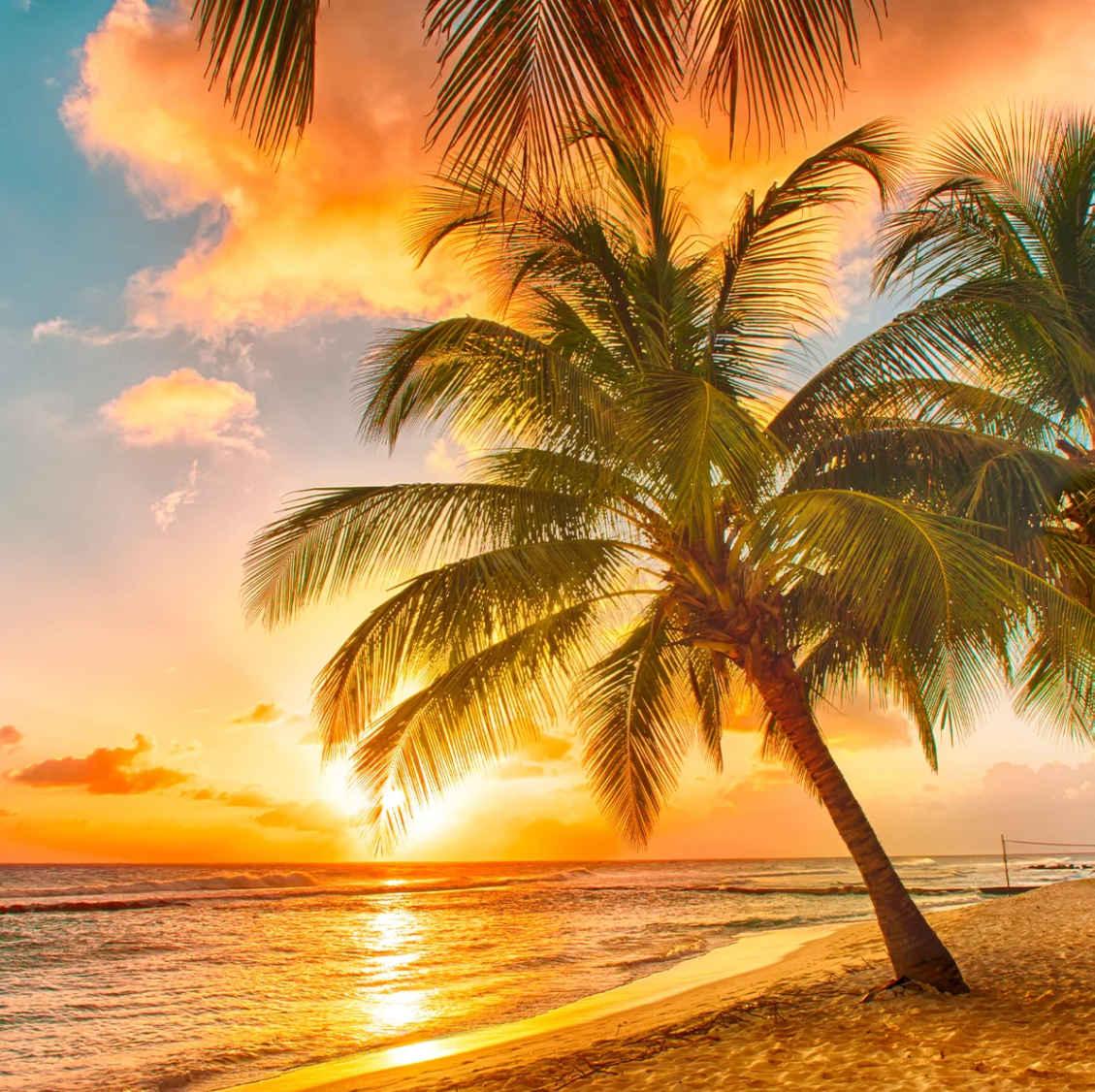 Rainbow Vacuum Summer Fragrance Collection 4 Pack assorted Genuine Rainbow Product