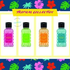 Rainbow Vacuum Summer Fragrance Collection 4 Pack