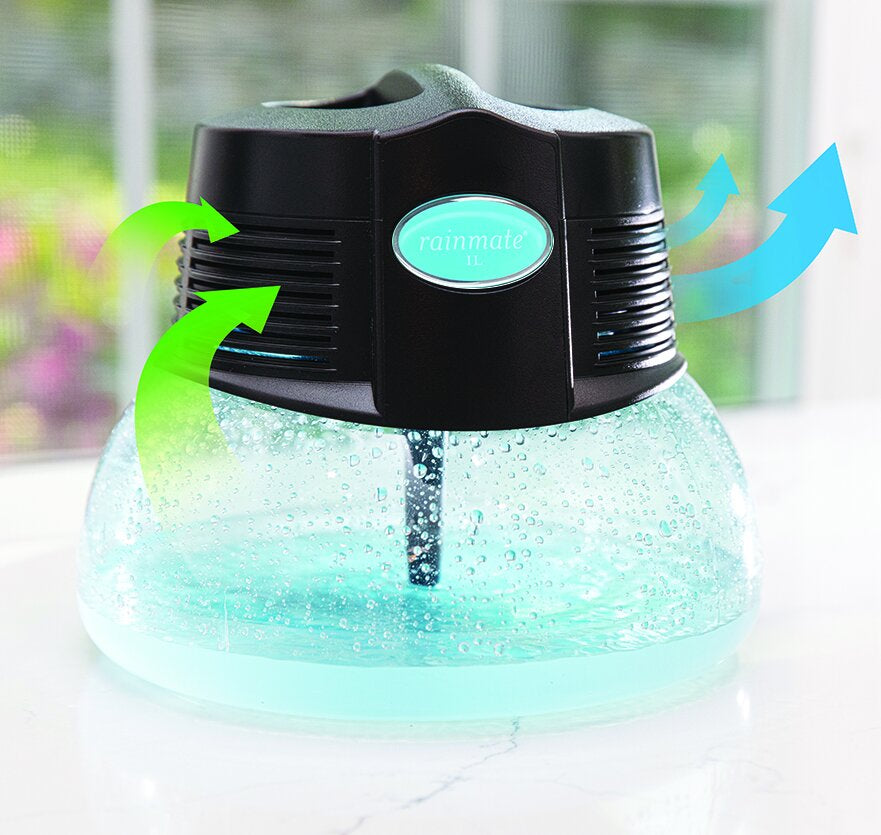 Rainbow Rainmate Air Cleaner