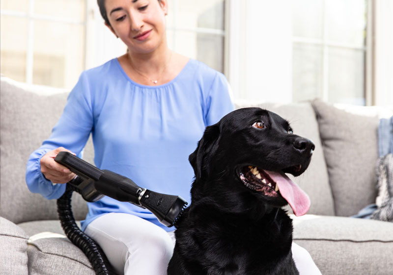 Rainbow Pet Grooming and Massage Tool GENUINE RAINBOW PRODUCT