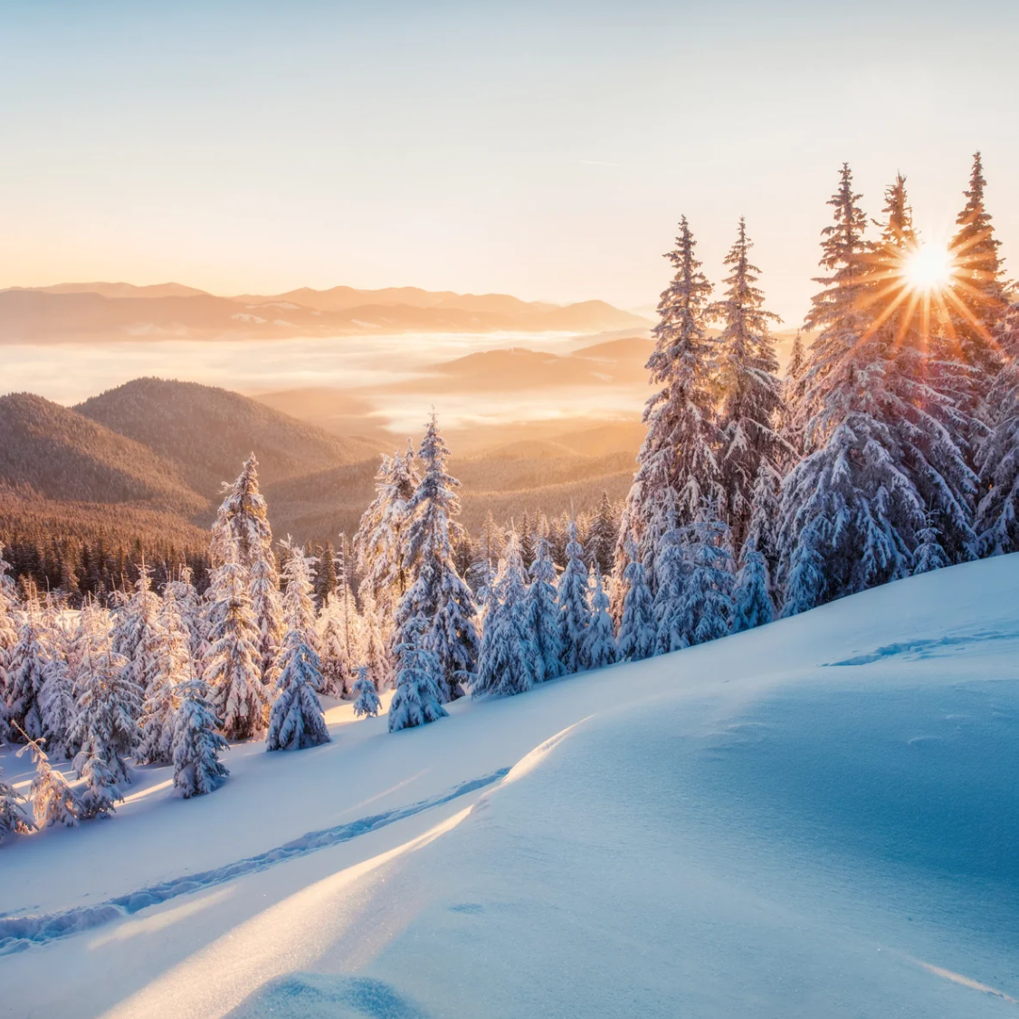 Rainbow Vacuum Winter Collection Fragrance 4 Pack assorted Genuine Rainbow Product